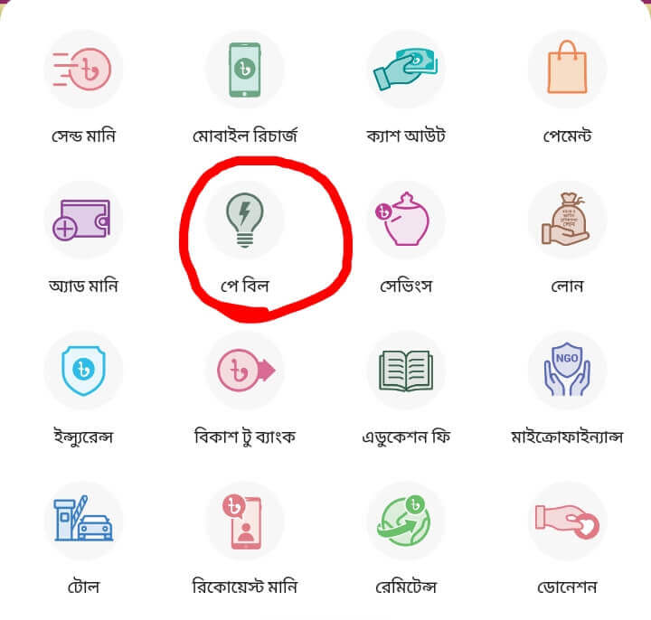 পল্লী-বিদ্যুৎ-বিল-চেক-করার-নিয়ম