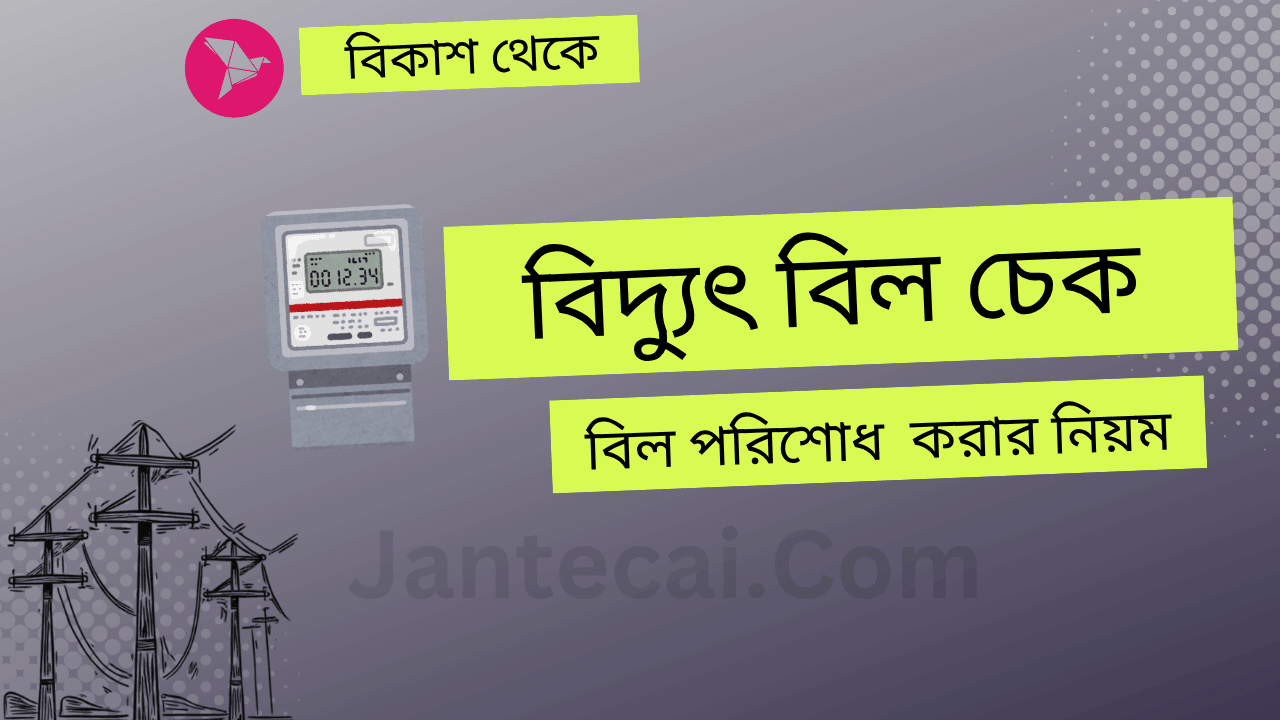 পল্লী বিদ্যুৎ বিল চেক করার নিয়ম – পে বিল বিকাশ 2026